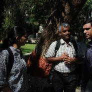 reduce-IMG_1634_1425971548