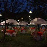 reduce-IMG_1848_1425971550