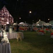 reduce-IMG_1867_1425971550