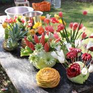 reduce-IMG_3208_1425972303