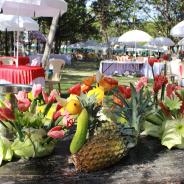 reduce-IMG_3211_1425972304