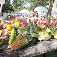 reduce-IMG_3212_1425972303