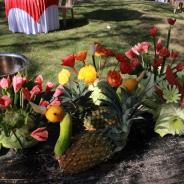 reduce-IMG_3213_1425972304