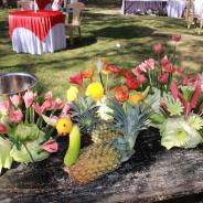 reduce-IMG_3214_1425972304