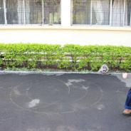 reduce-IMG_3215_1425972304