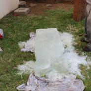 reduce-IMG_3239_1425972305