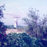 GMRT-37