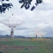 GMRT-215