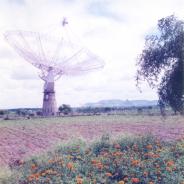 GMRT-237