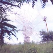 GMRT-245