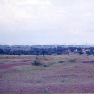 GMRT-252