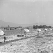 KT_8
