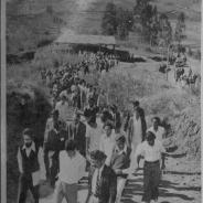 Ooty-0015