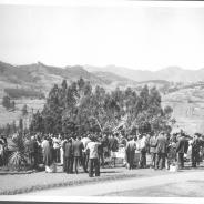 Ooty-0022