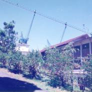 ORT-0005