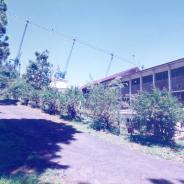 ORT-0006