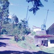 ORT-0008