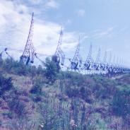 ORT-0010