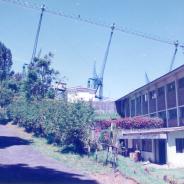 ORT-0022