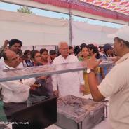 IMG_20240228_114306