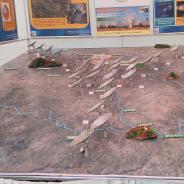 IMG_20240228_154851